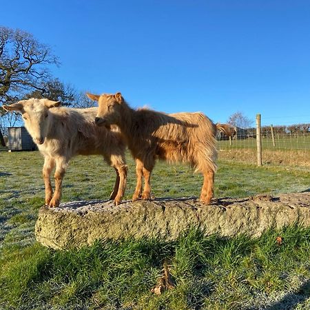 Lovaton Farmhouse オークハンプトン エクステリア 写真