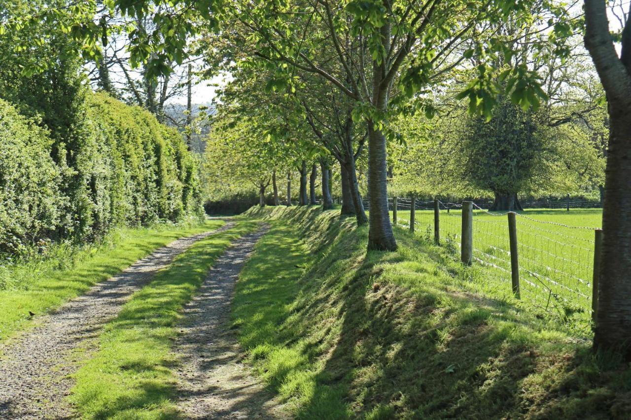 Lovaton Farmhouse オークハンプトン エクステリア 写真